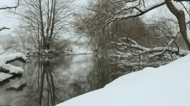 Over the river. Used professional gimbal stabilazer — Stock Video