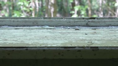 Pencere ıssız evin içinde. Yumuşak ve yavaş dolly vurdu