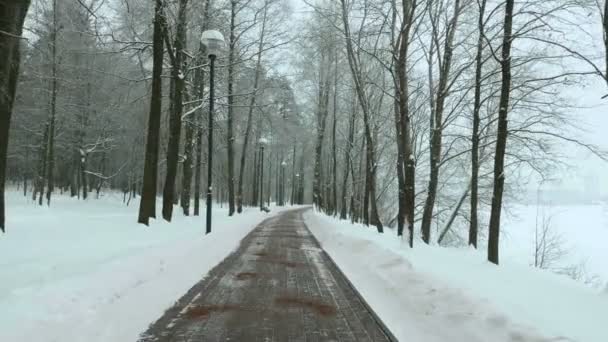 Flygande i Vinterparken. Används professionell gimbal stabilazer — Stockvideo