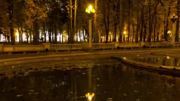 Lanterna notturna nel parco. Time lapse girato in movimento — Video Stock