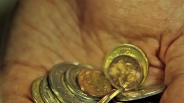 Münzen in Händen. Nahaufnahme — Stockvideo