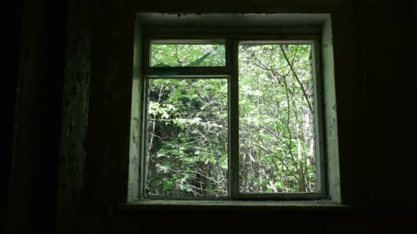 버려진된 집 창입니다. 부드럽고 천천히 돌리 샷 — 비디오
