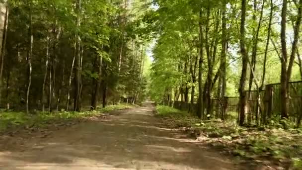 Correre nel parco. Camma liscia e lenta scatto costante. Pulito e luminoso giorno — Video Stock