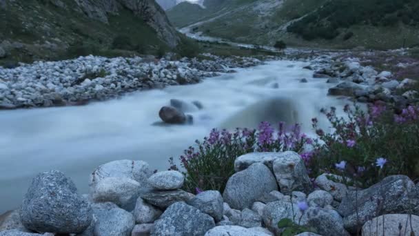 Mountain river och blommor. Time-lapse — Stockvideo