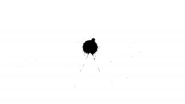 Encres noires tombent sur papier sec . — Video