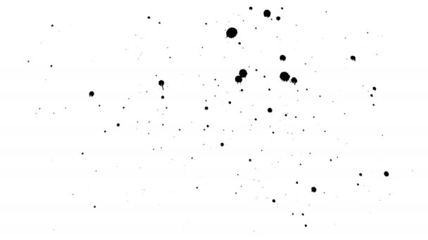Tintas negras caen sobre papel seco . — Vídeo de stock