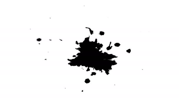 Siyah mürekkep ıslak kağıt üzerinde damla — Stok video
