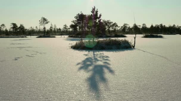 Sunset over the winter island. Clean and frosty daytime. Smooth dolly shot — Stock Video