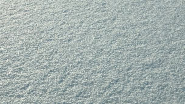 Neve no lago congelado. Limpo e frio durante o dia. Golpe de boneca suave — Vídeo de Stock