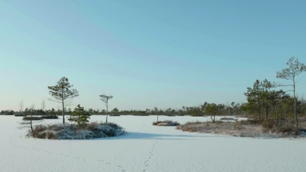 Bevroren eilanden in de winter. Schoon en ijzig overdag. Soepele dolly schot — Stockvideo