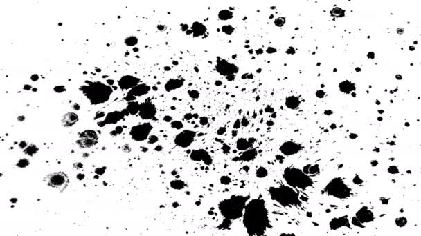 Många bläck droppar på vått papper 10 — Stockvideo