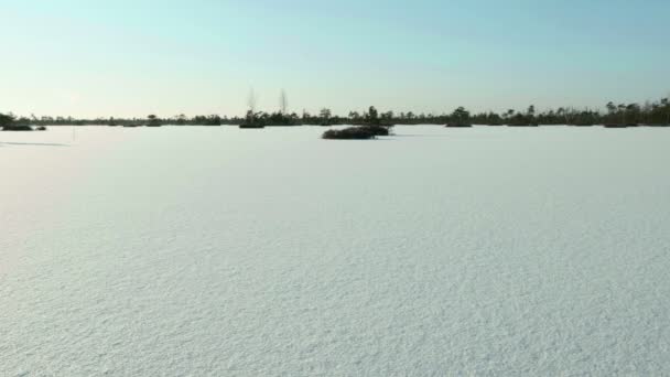 Παγωμένη λίμνη κάτω από το χιόνι. Καθαρό και παγωμένος ημέρας. Ομαλή κουκλίτσα πυροβόλησε — Αρχείο Βίντεο