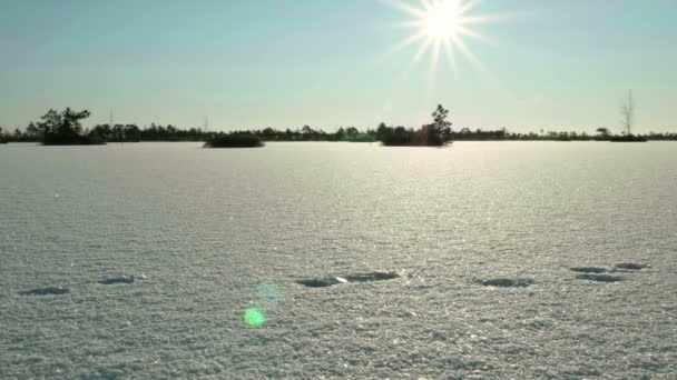 Sunset over the frozen lake.Clean and frosty daytime. Smooth dolly shot — Stock Video