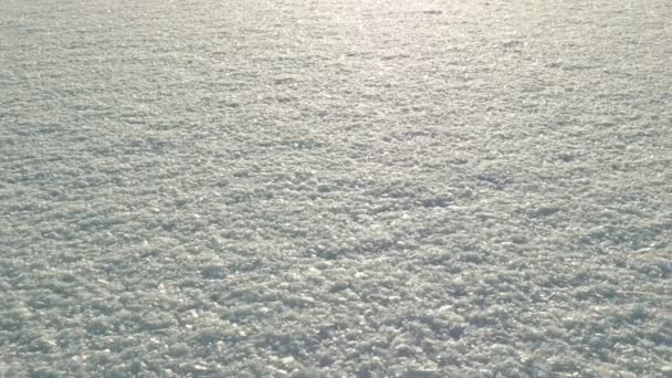 日没の雪の上に輝きます。清潔で冷ややかな昼間。滑らかなドーリー ショット — ストック動画