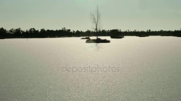 Silhouette of the island. Clean and frosty daytime. Smooth dolly shot — Stock Video