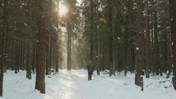 Hombre esquiando en el bosque de invierno — Vídeos de Stock