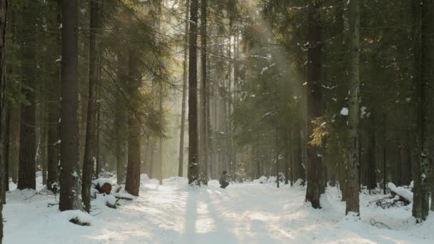 Velho homem faz sit-ups na floresta de inverno nevado — Vídeo de Stock