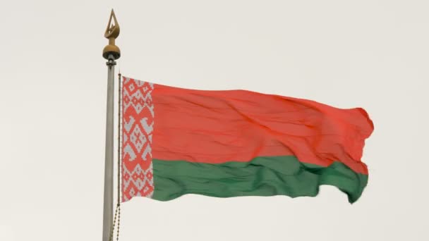 Прапор Білорусі махає крилами на вітрі — стокове відео