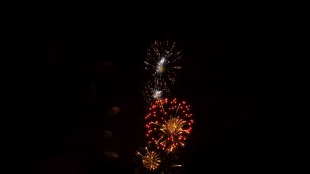 Fireworks in the city, day of Victory - slowmotion 60 fps — Stock Video