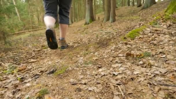 Legs of young girl in the summer forest - flying camera slowmotion 180 fps shot — Stock Video