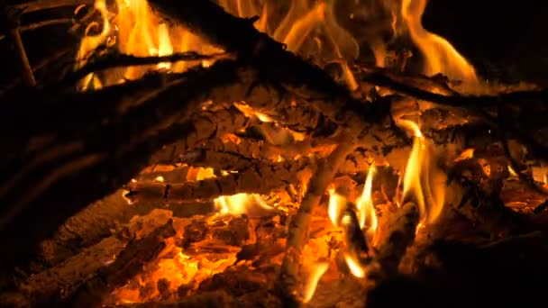 Костер в ночном лесу - замедление выстрела 180 кадров в секунду — стоковое видео