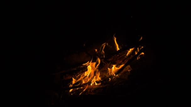 Feu de joie dans la forêt nocturne - tir au ralenti 180 ips — Video