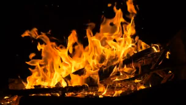 Oheň v noci lese - slowmotion záběr 180 fps — Stock video