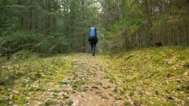 Turist kvinna med ryggsäck njuter utsikten till regnskog - flygande kamera skott — Stockvideo