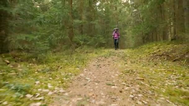 Turystyczna kobieta z plecaka widok do lasu deszczowego - latające kamery strzału — Wideo stockowe