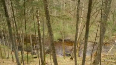 Atış uçan alt - üst Riverside