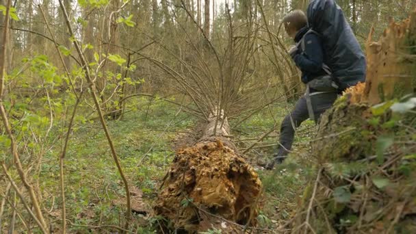 Mädchen übertritt umgestürzten Baum im Sommerwald — Stockvideo