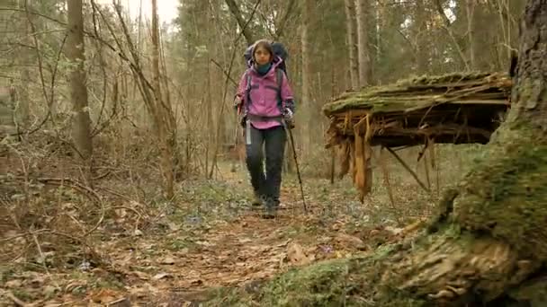 Touristin mit Rucksack genießt Blick auf Regenwald - fliegende Kamera — Stockvideo