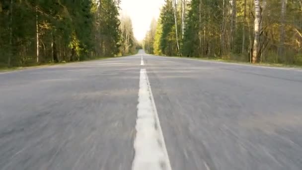 Road between forest - flying camera shot — Stock Video