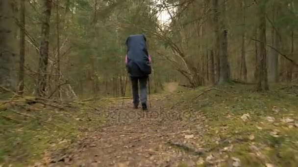 Donna turistica con zaino godendo la vista sulla foresta pluviale - ripresa della fotocamera volante — Video Stock