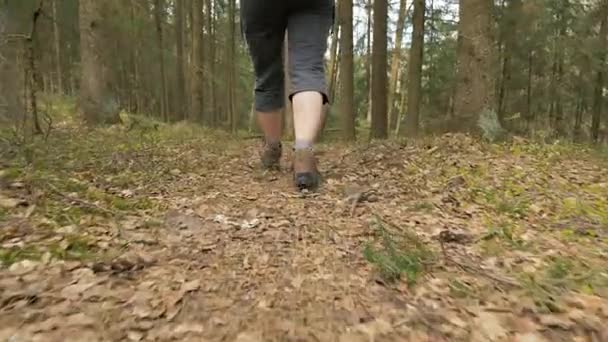 Benen på den unga flickan med ryggsäck i skogen sommar - flygande kamera skott — Stockvideo
