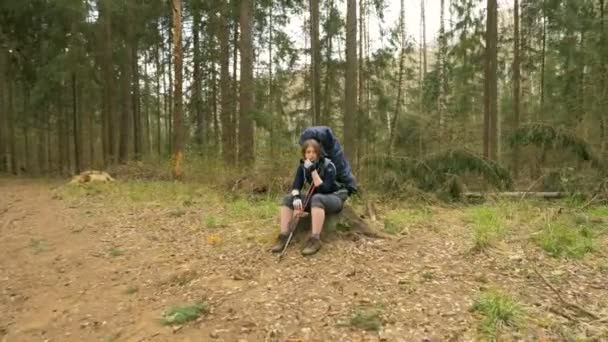 Bella ragazza seduta su un ceppo in una foresta estiva - ripresa della fotocamera volante — Video Stock