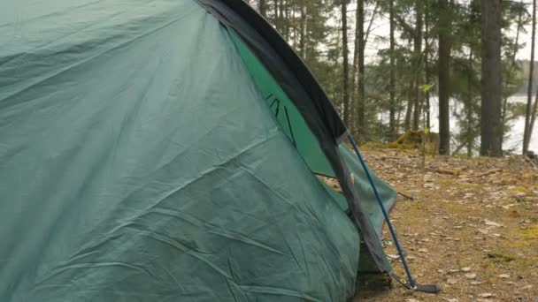 Girl looks out of the tent in the forest — Stock Video