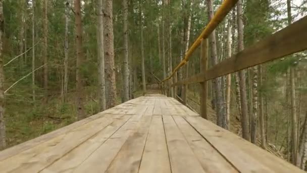 Volando sobre el puente de madera — Vídeo de stock