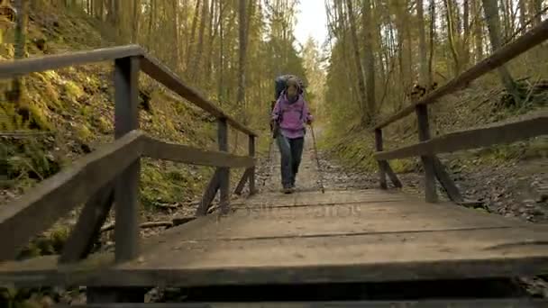 Τουριστική γυναίκα με σακίδιο απολαμβάνοντας θέα στο τροπικό δάσος - που φέρουν shot φωτογραφική μηχανή — Αρχείο Βίντεο