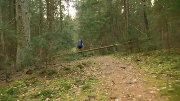 Turystyczna kobieta z plecaka widok do lasu deszczowego - latające kamery strzału — Wideo stockowe