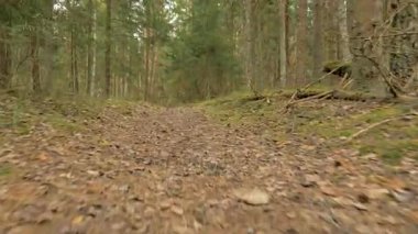 Turist kadın manzarayı rainforest - kamera çekim uçan için sırt çantası ile