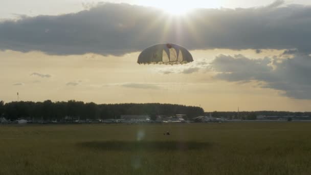 Fallskärmshoppare landar med fallskärmar - slowmotion 60fps — Stockvideo