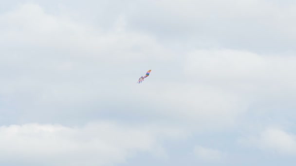 Pulpo de cometa de color volando en el aire - slow mo 60 fps — Vídeos de Stock