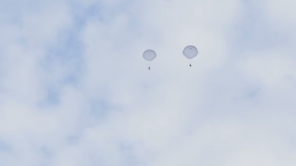 Paracaidistas vuelan en el cielo - cámara lenta 60fps — Vídeo de stock