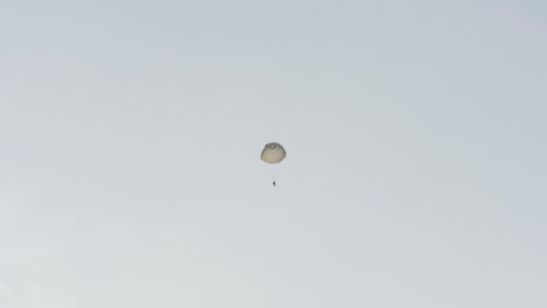 Skydiver voa com paraquedas - câmera lenta 60fps — Vídeo de Stock