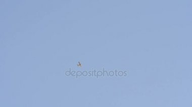 Küçük aiplane gökyüzünde uçar