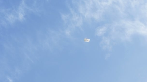 Skydriver 在天空飞翔 — 图库视频影像