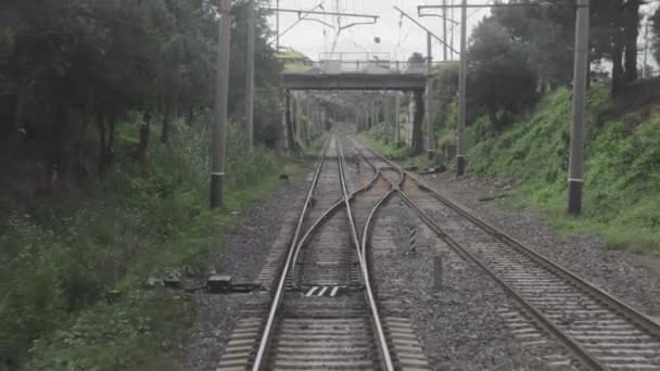 Vista del ferrocarril desde la ventana del último vagón ferroviario — Vídeos de Stock