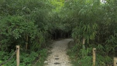 Bambu sokaktan, Botanik Parkı Georgia yürüyüş