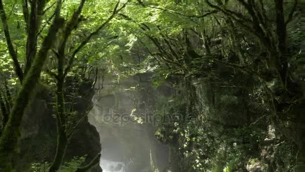 Deep Martvili canyon in Georgia — Stock Video